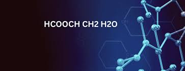 HCOOCH CH2 H2O
